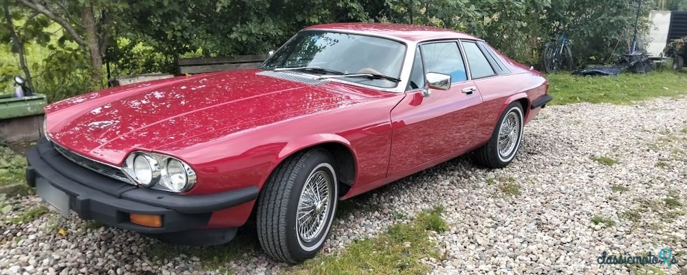 1977' Jaguar XJS photo #2