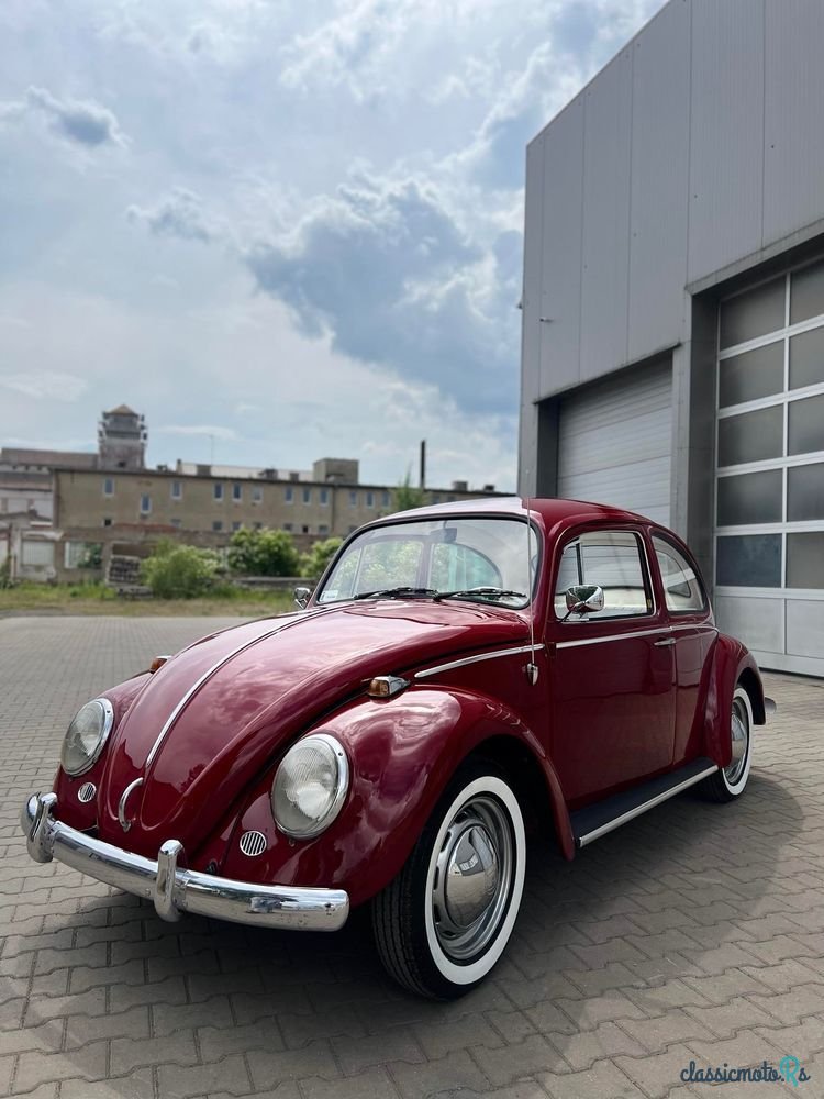 1965' Volkswagen Garbus photo #3