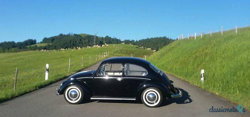 1965' Volkswagen Käfer photo #1