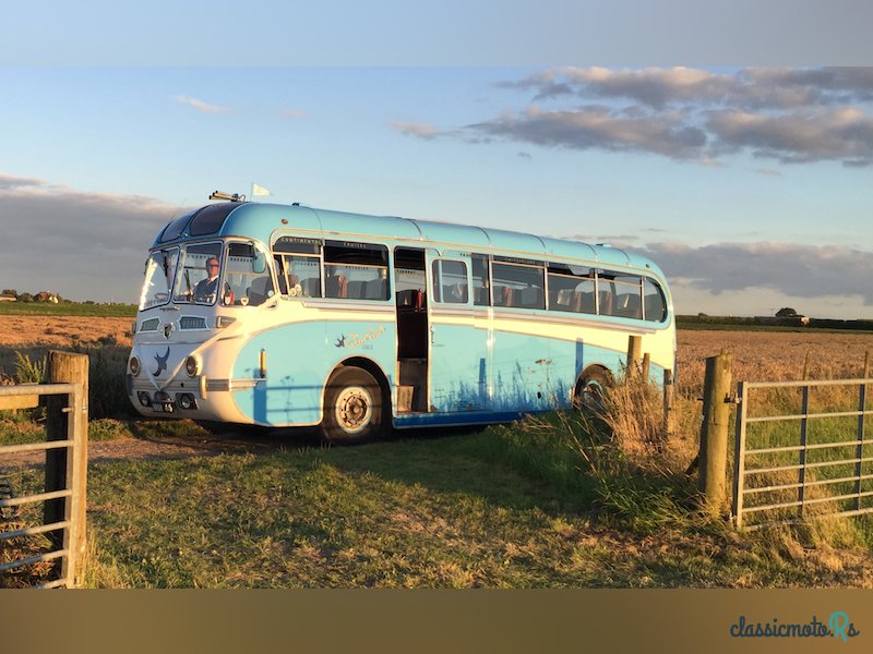 1952' Leyland Tiger photo #1