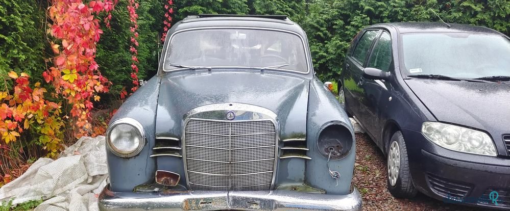 1952' Mercedes-Benz photo #4