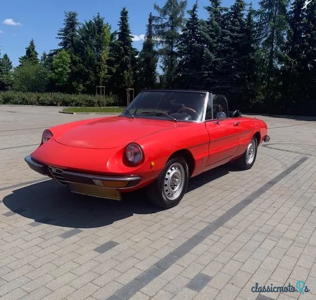 1975' Alfa Romeo Spider 2.0 photo #5