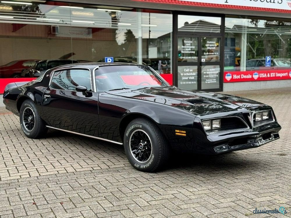 1978' Pontiac Firebird photo #4