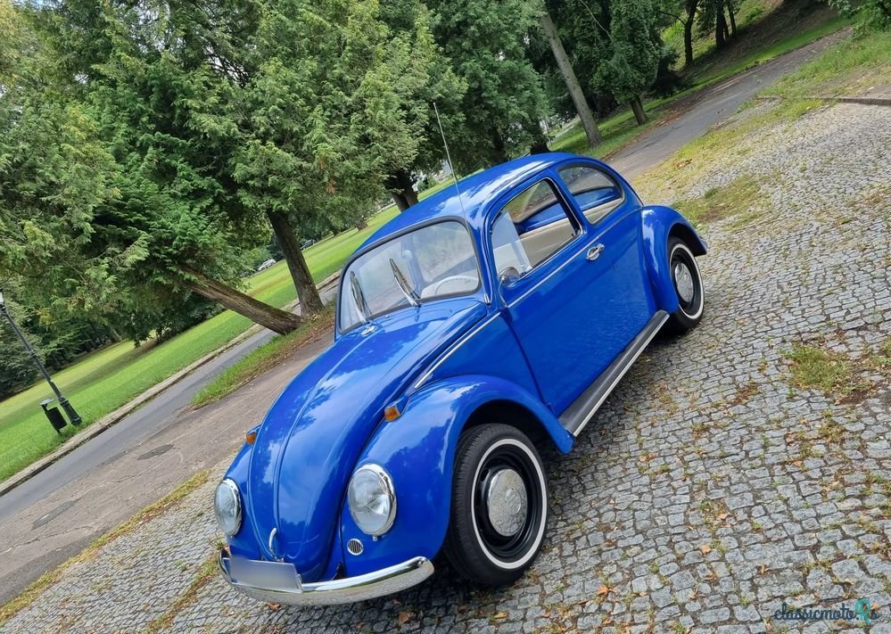 1967' Volkswagen Garbus photo #5