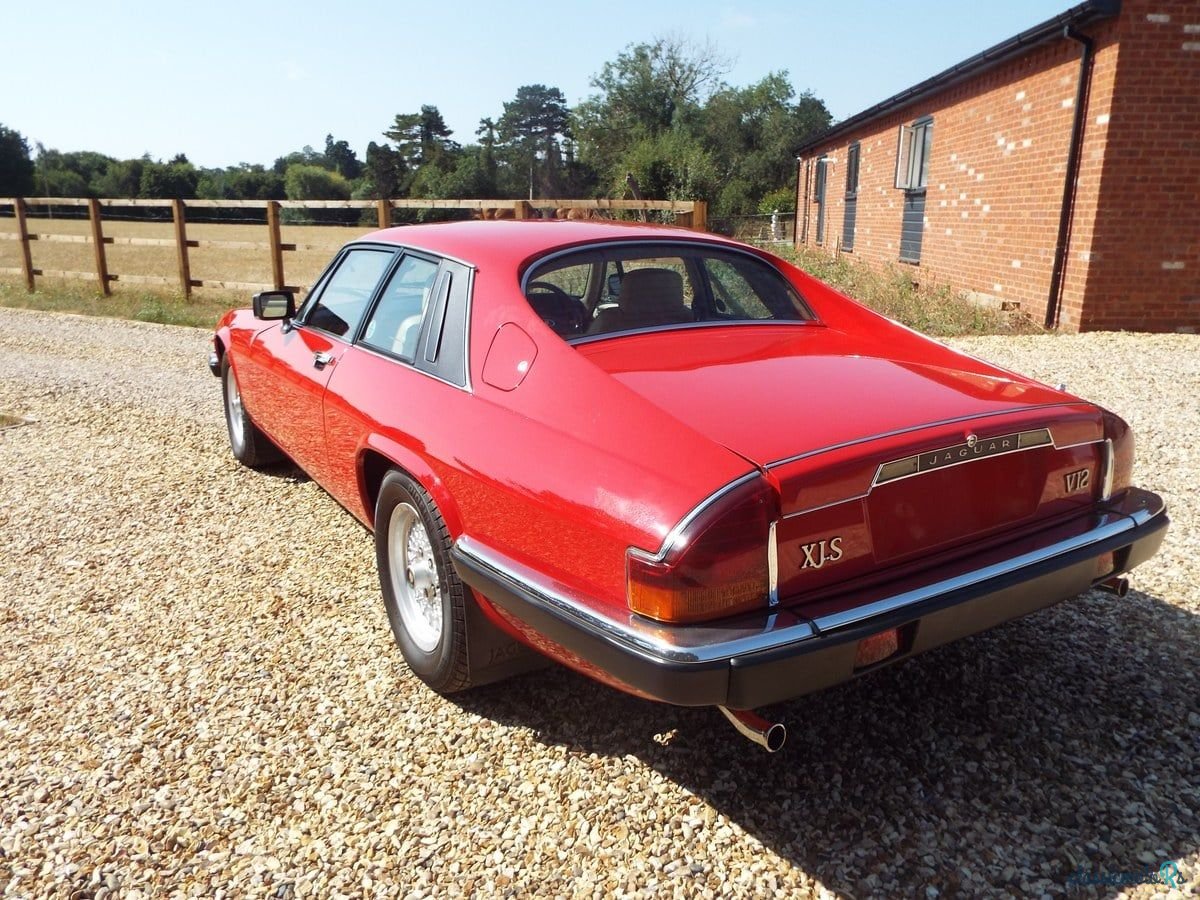 1988' Jaguar XJS photo #5