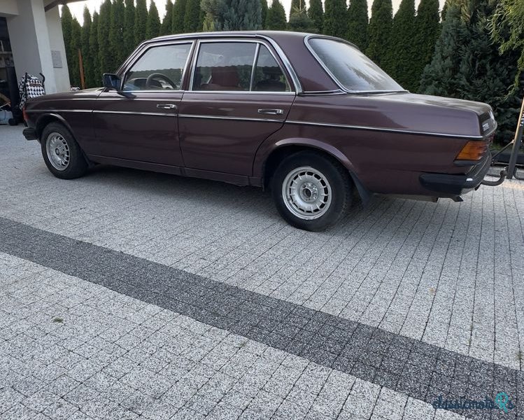 1979' Mercedes-Benz W123 photo #5