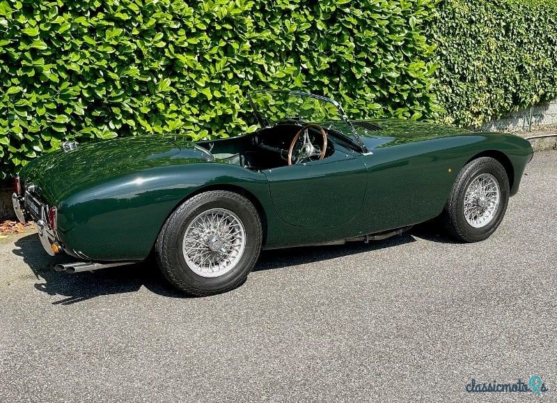 1955' AC Ace photo #6