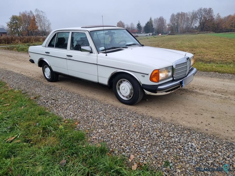 1979' Mercedes-Benz W123 photo #3