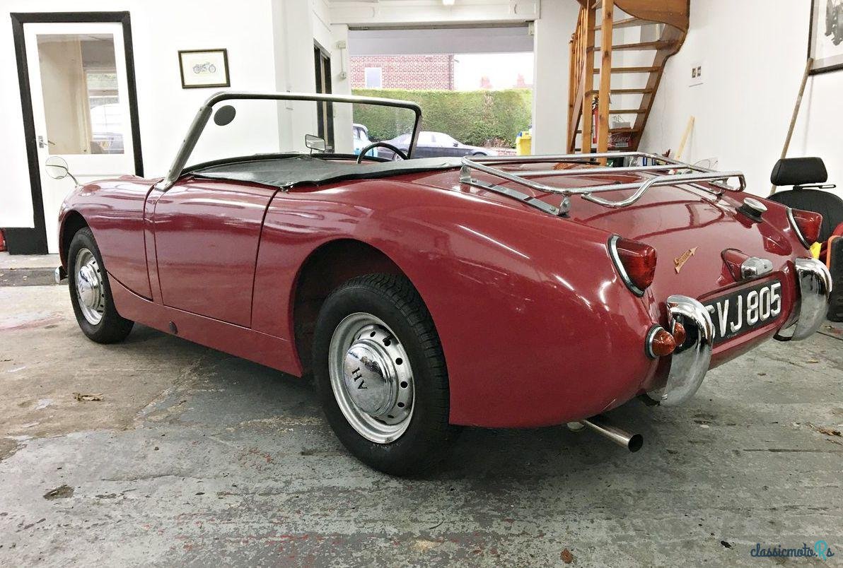 1959' Austin-Healey Sprite Frogeye photo #4