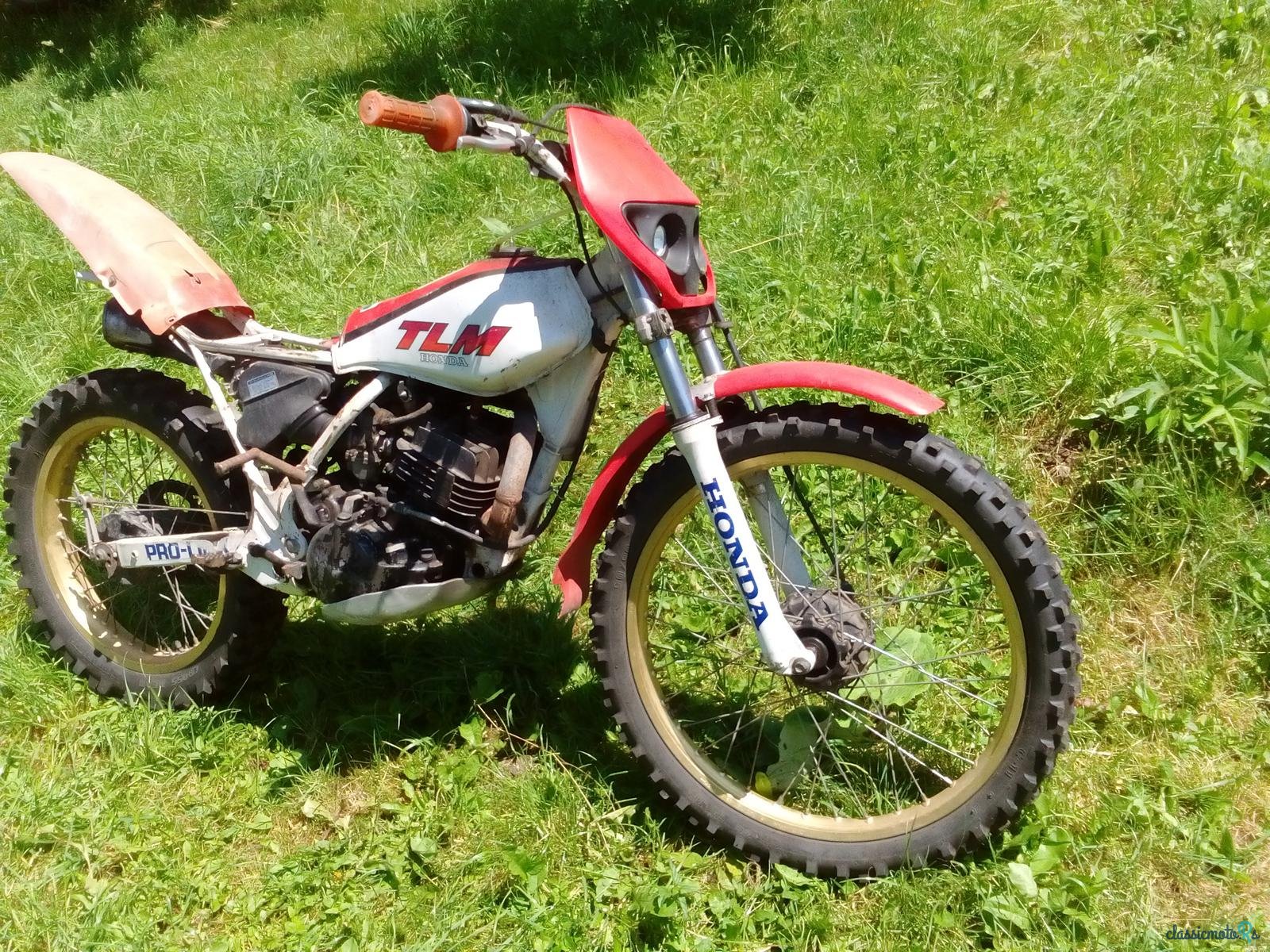 1984' Honda TLM 200 photo #2