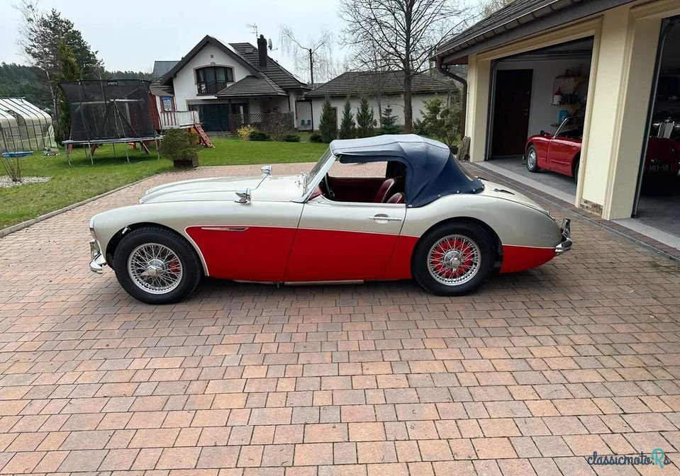 1960' Austin-Healey 3000 photo #2