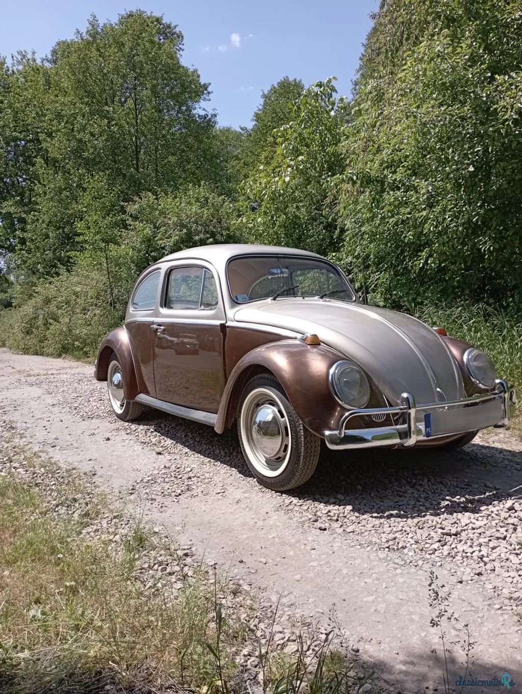 1969' Volkswagen Garbus photo #1