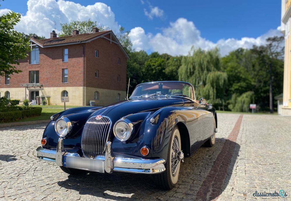 1958' Jaguar XK photo #1