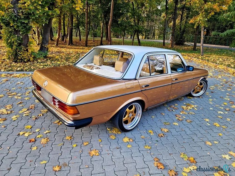 1979' Mercedes-Benz W123 photo #3