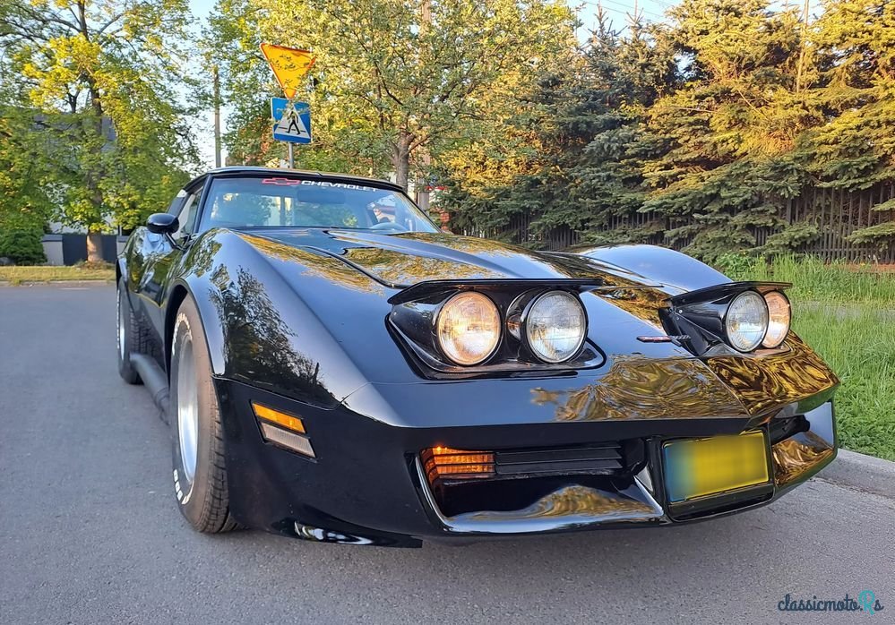 1979' Chevrolet Corvette photo #2