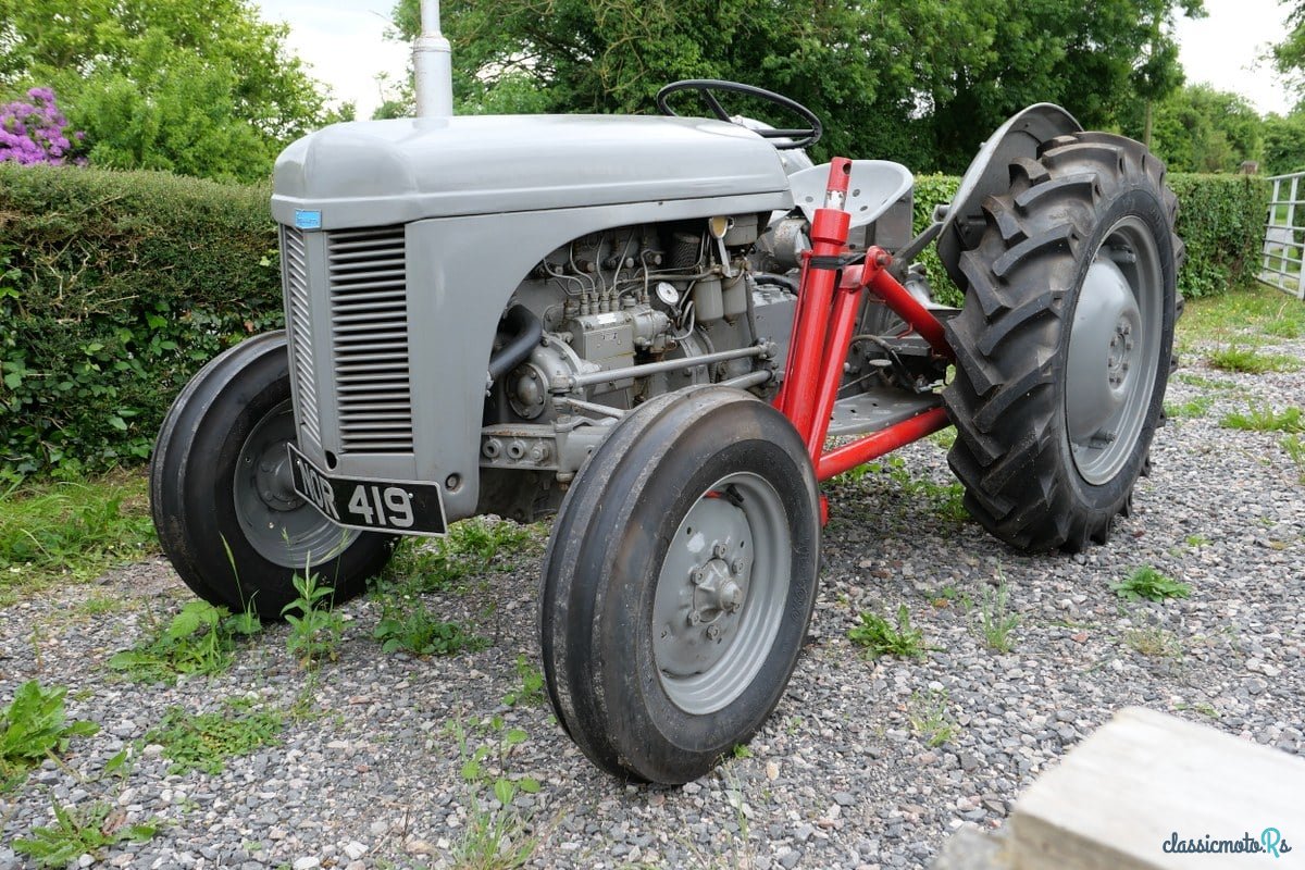 1954' Massey Ferguson photo #1