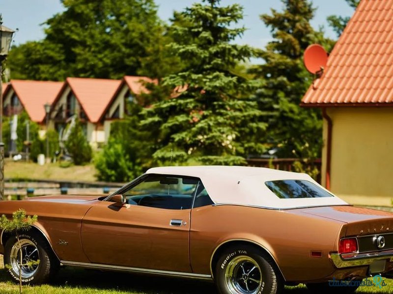 1971' Ford Mustang photo #3