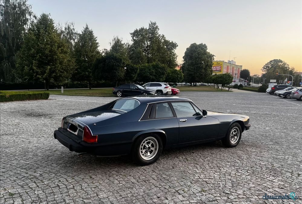 1979' Jaguar XJS photo #5