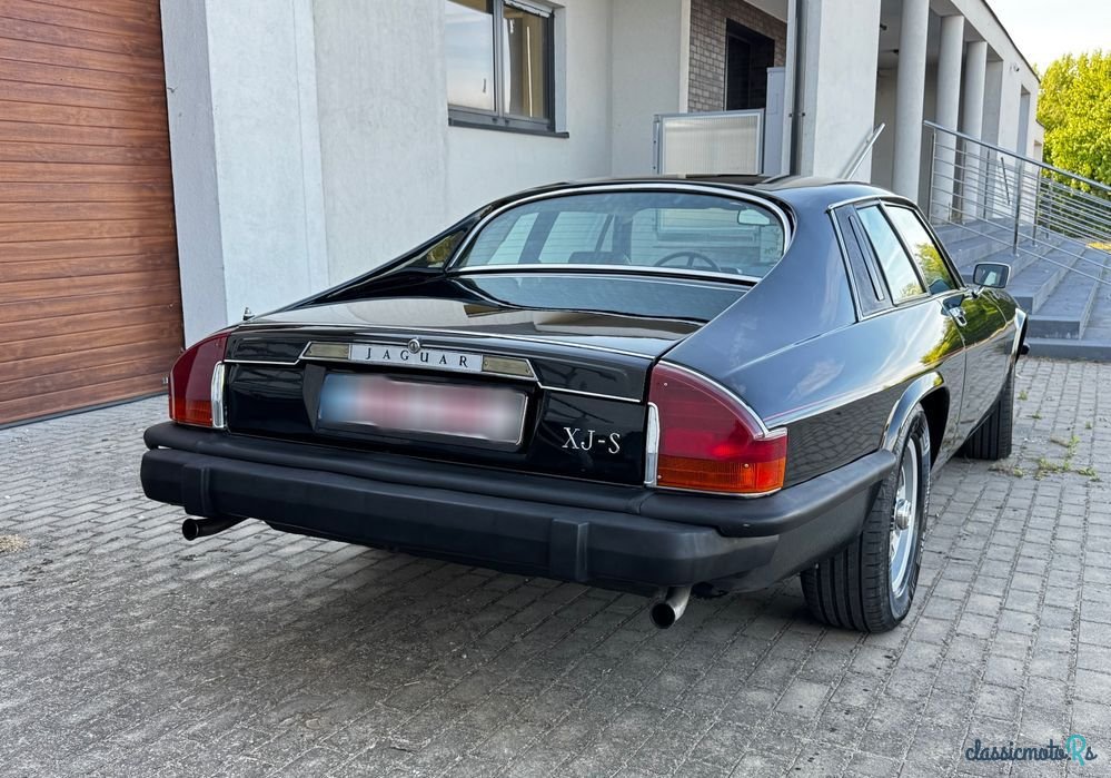 1976' Jaguar XJS photo #6
