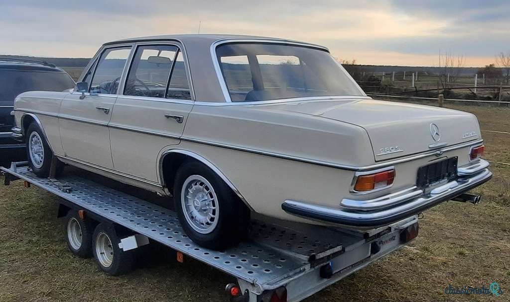 1971' Mercedes-Benz 280 photo #4