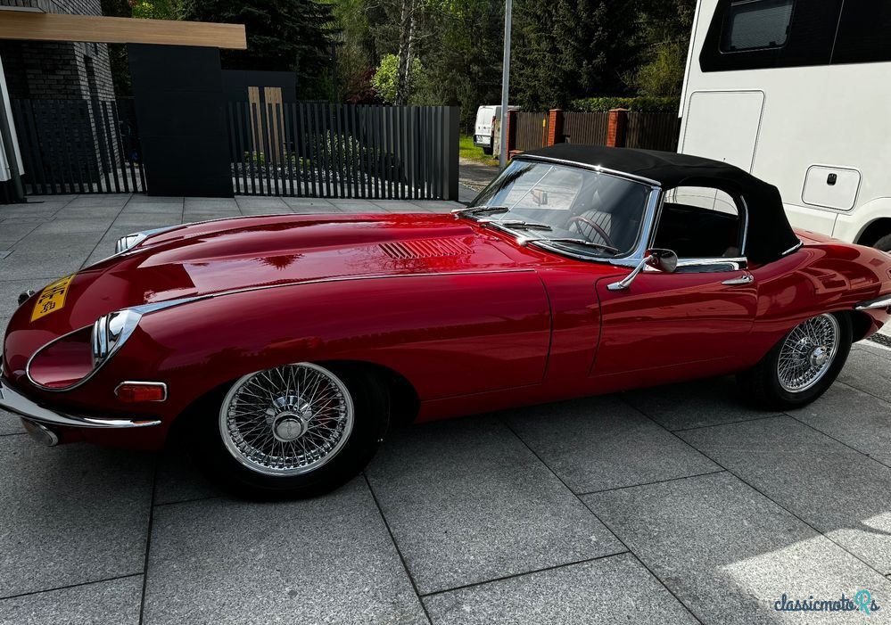 1969' Jaguar E-Type photo #3