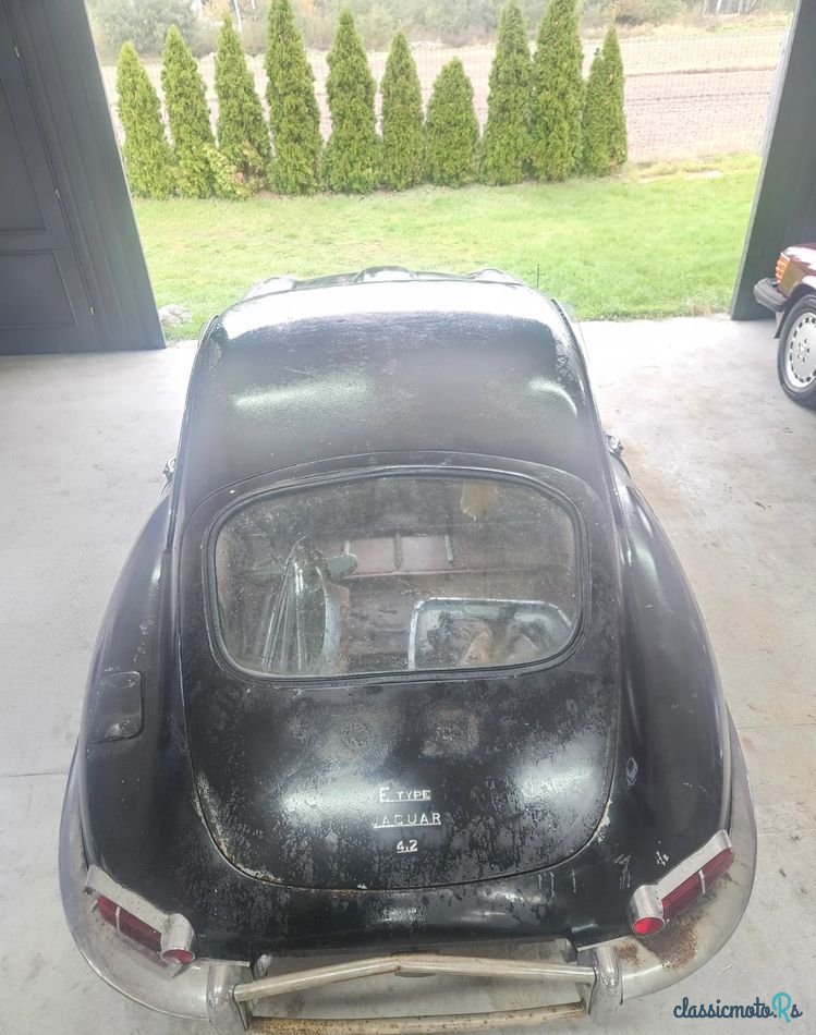 1965' Jaguar E-Type photo #5