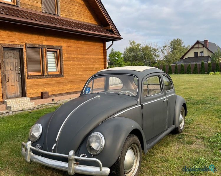 1962' Volkswagen Garbus photo #2