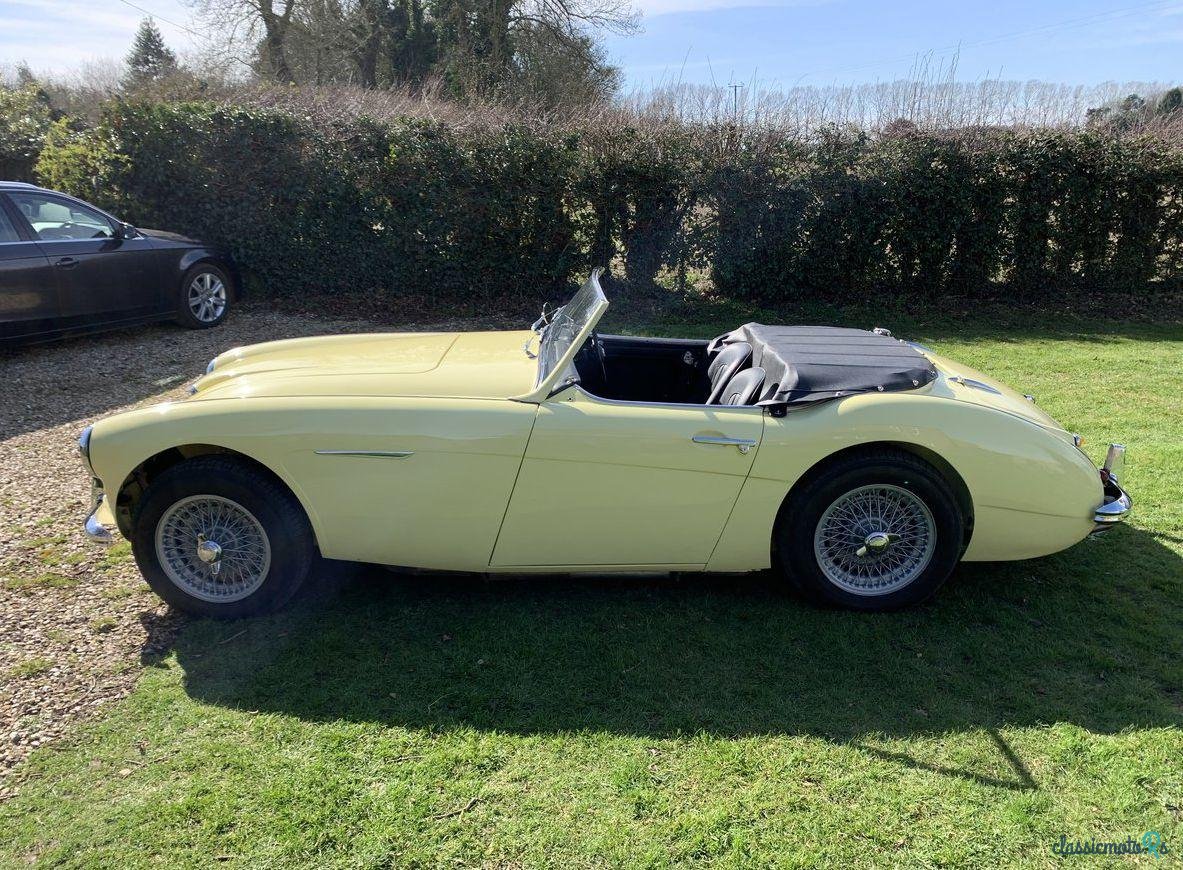 1957' Austin-Healey 100-6 photo #2
