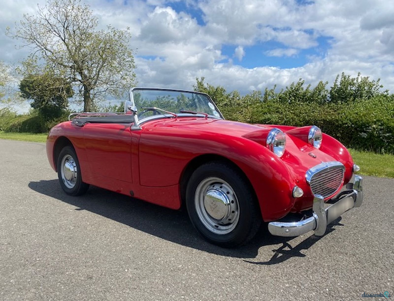 1959' Austin-Healey Sprite photo #4