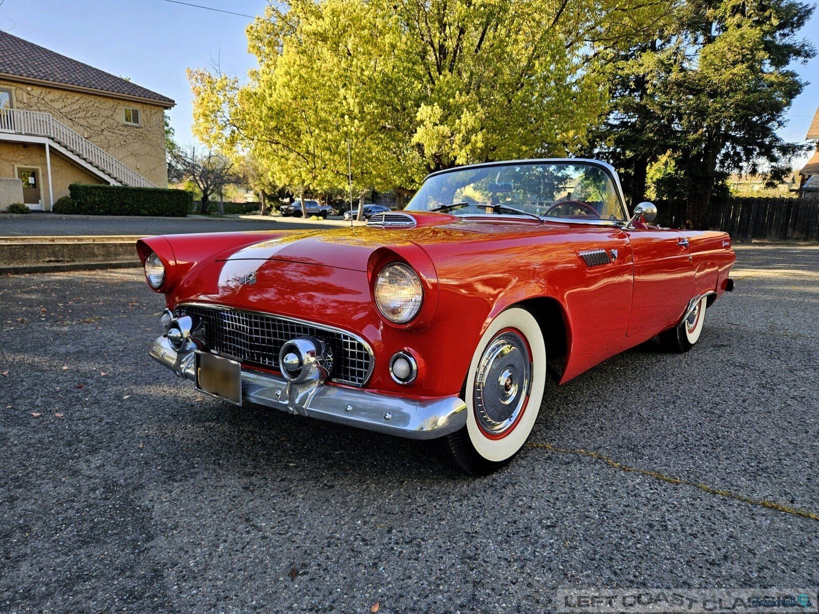 1955' Ford Thunderbird photo #1