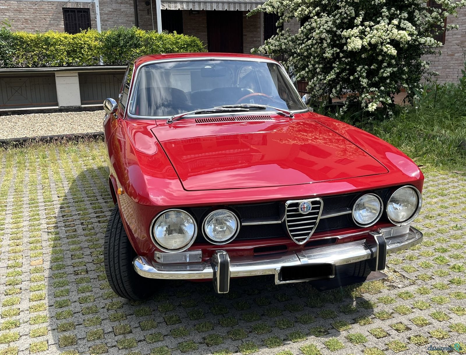 1971' Alfa Romeo 1750 Gtv photo #5