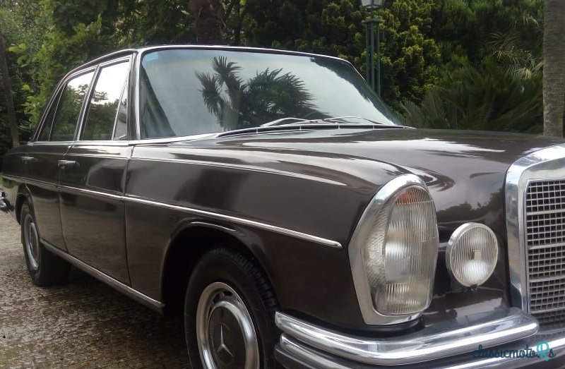 1971' Mercedes-Benz 280 photo #2