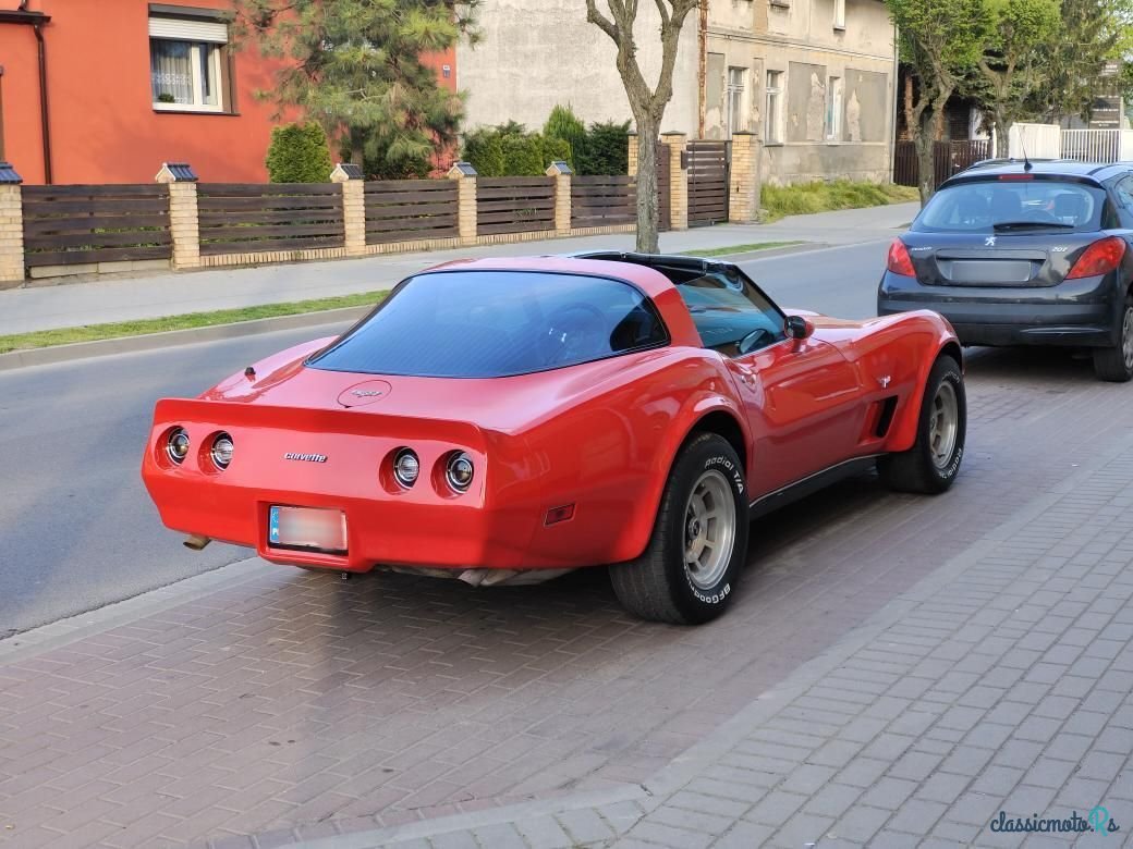 1979' Chevrolet Corvette photo #4