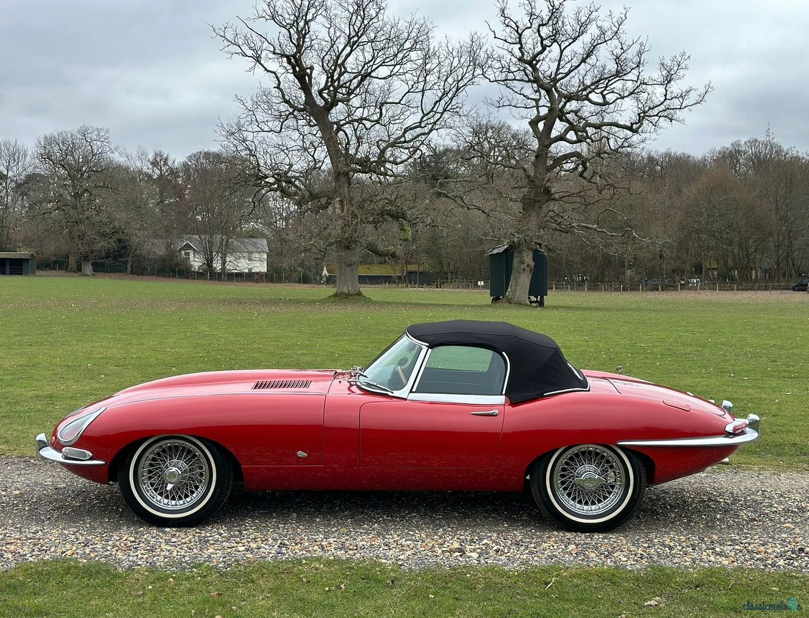 1961' Jaguar E-Type photo #5