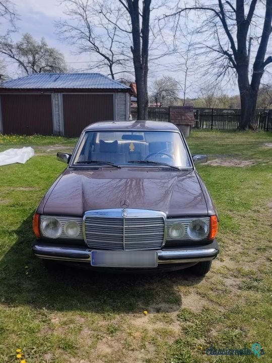 1978' Mercedes-Benz W123 photo #1