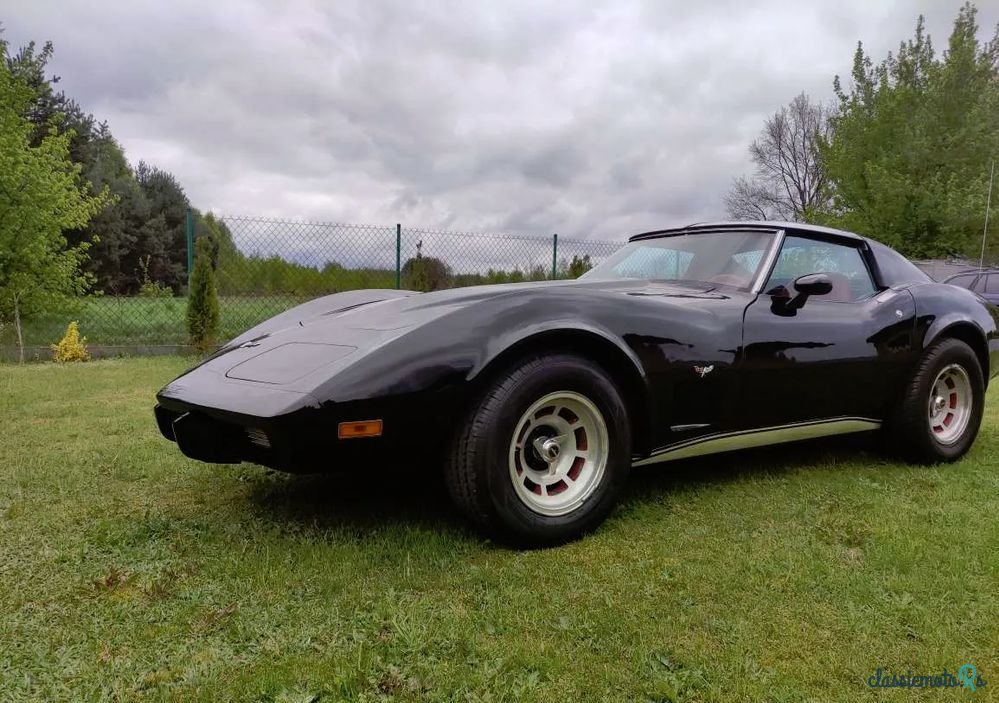1977' Chevrolet Corvette photo #3