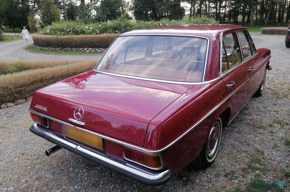 1968' Mercedes-Benz W115s photo #3