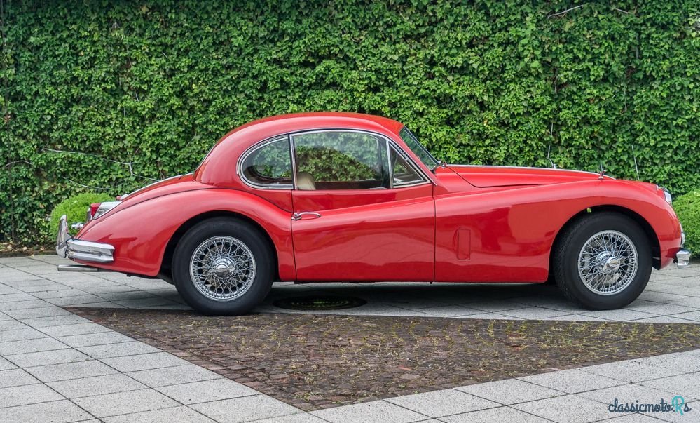 1957' Jaguar XK photo #2