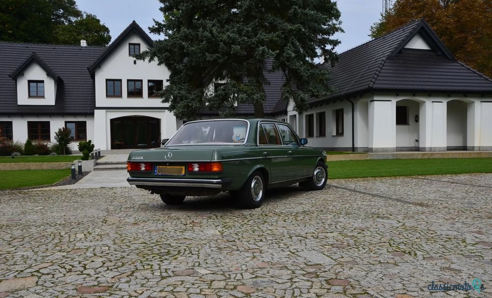 1977' Mercedes-Benz W123 photo #4