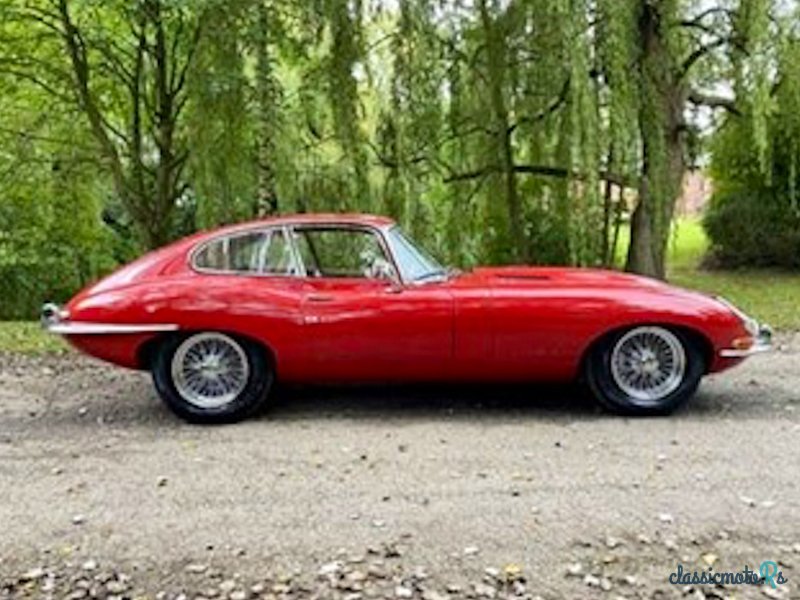 1966' Jaguar E-Type photo #6