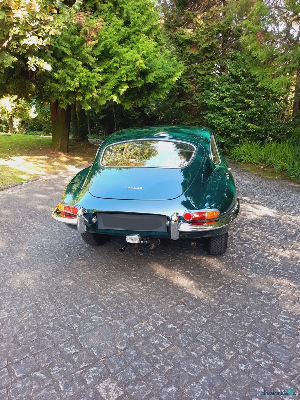 1964' Jaguar E-Type photo #5