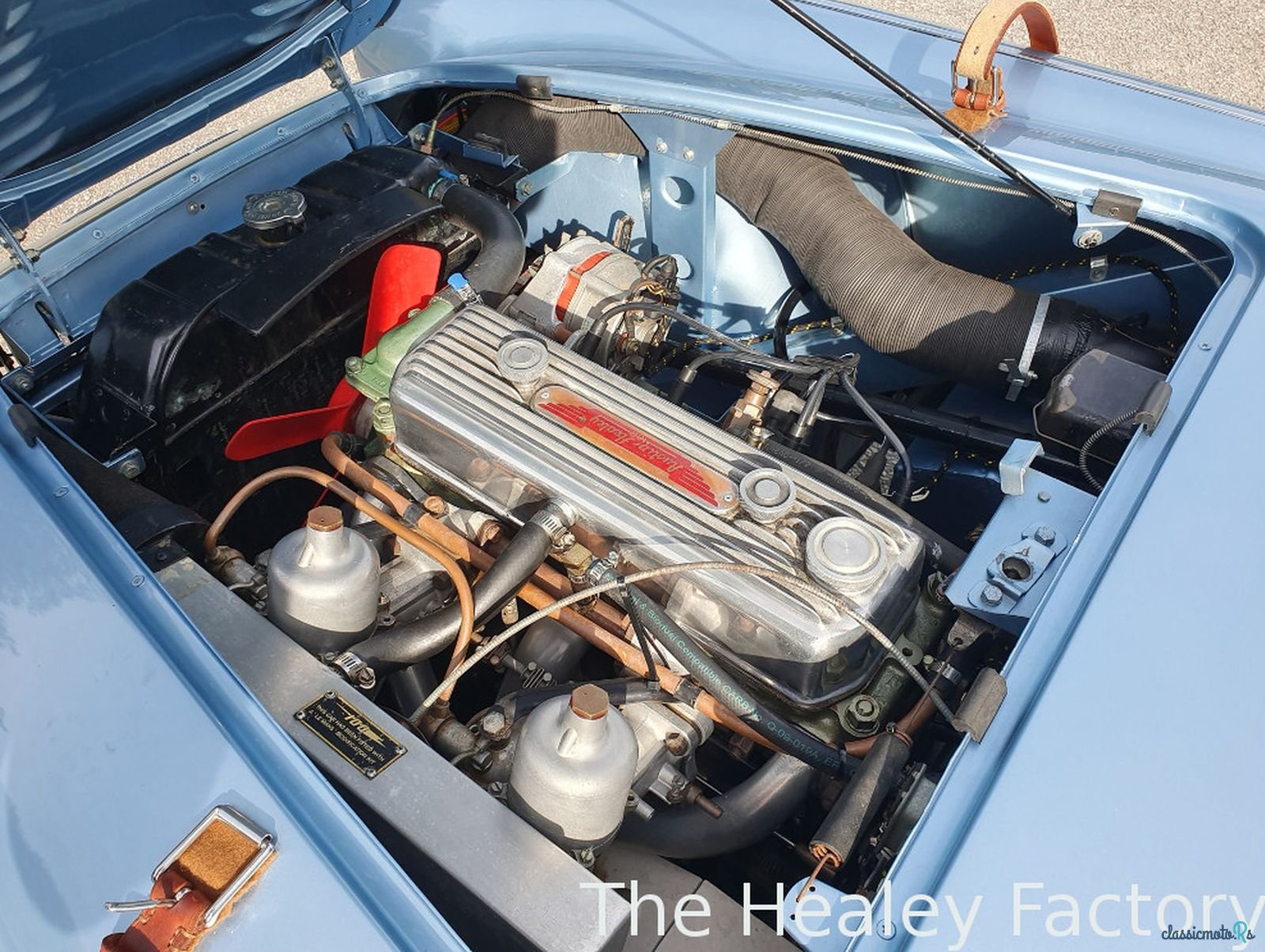 1956' Austin-Healey 100M photo #5