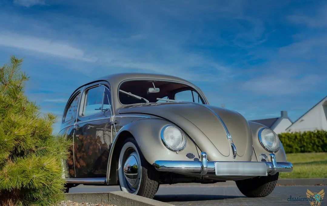 1956' Volkswagen Garbus photo #6