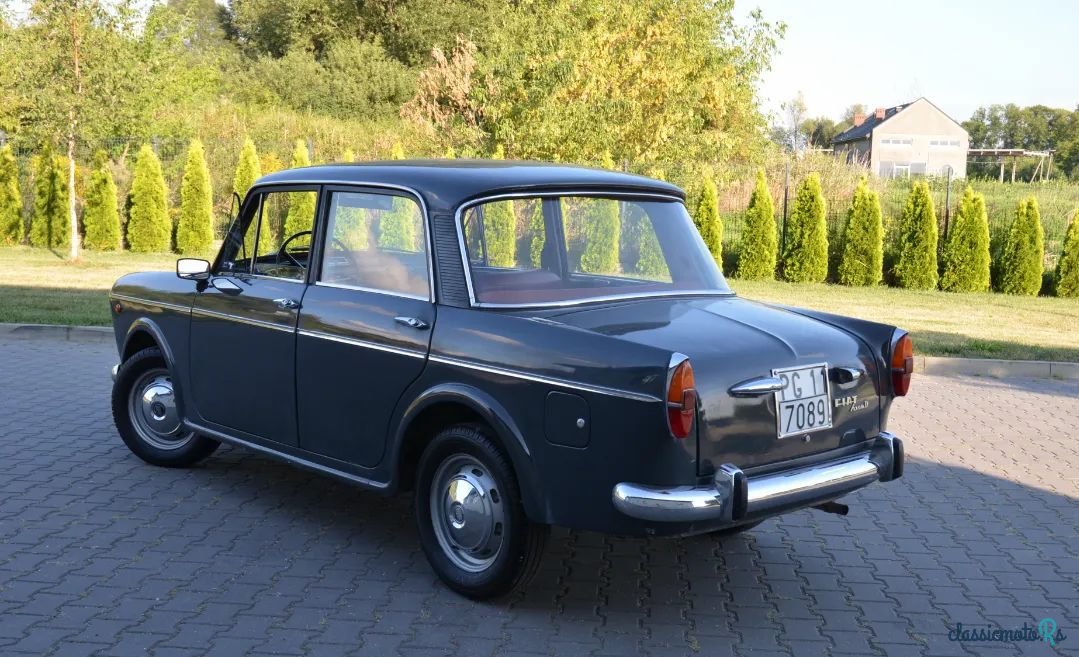 1964' Fiat 1100 D photo #4