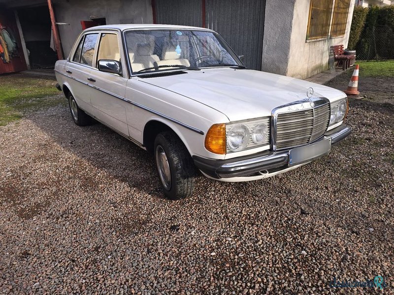 1978' Mercedes-Benz W123 photo #2