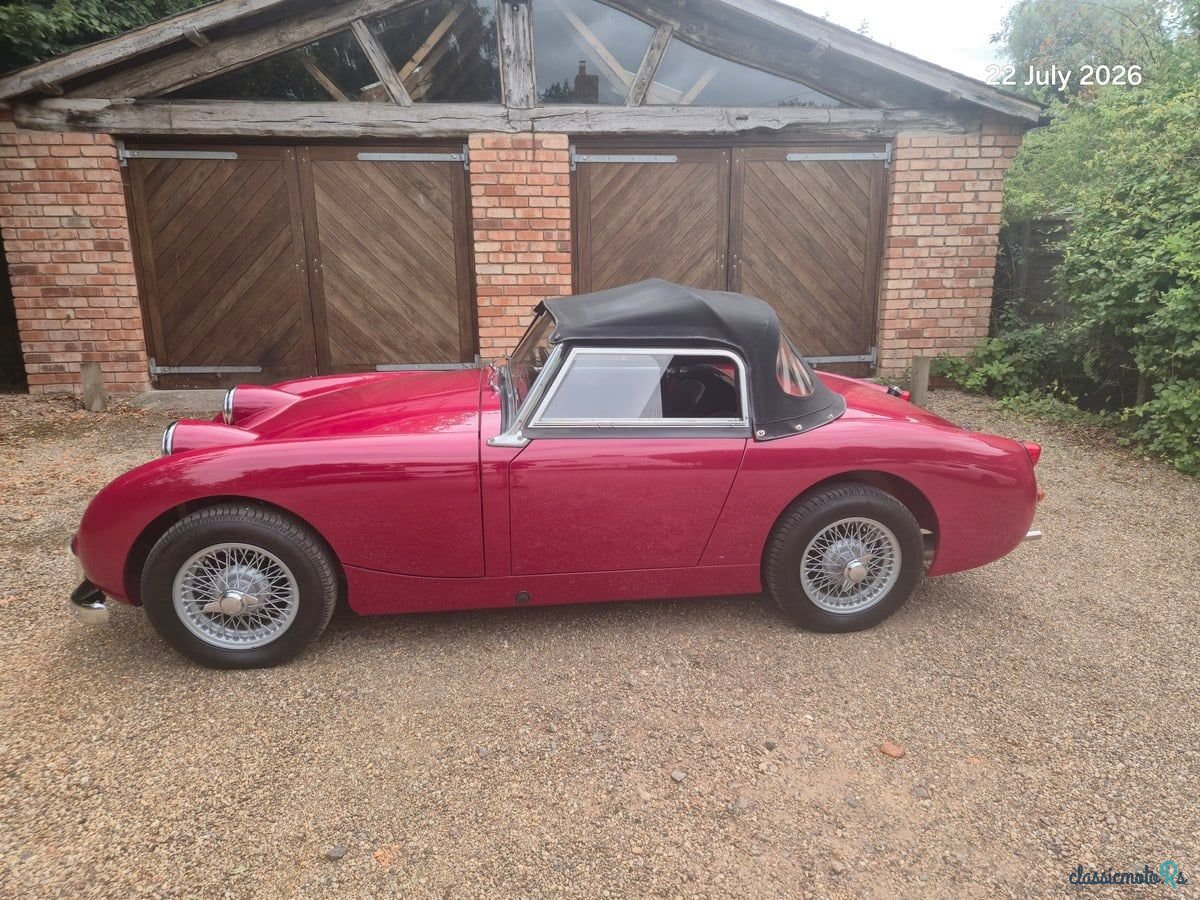 1960' Austin-Healey Sprite photo #3