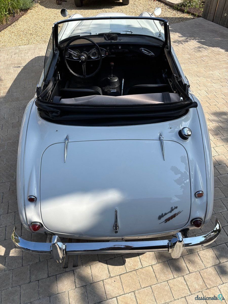 1963' Austin-Healey 3000 photo #3