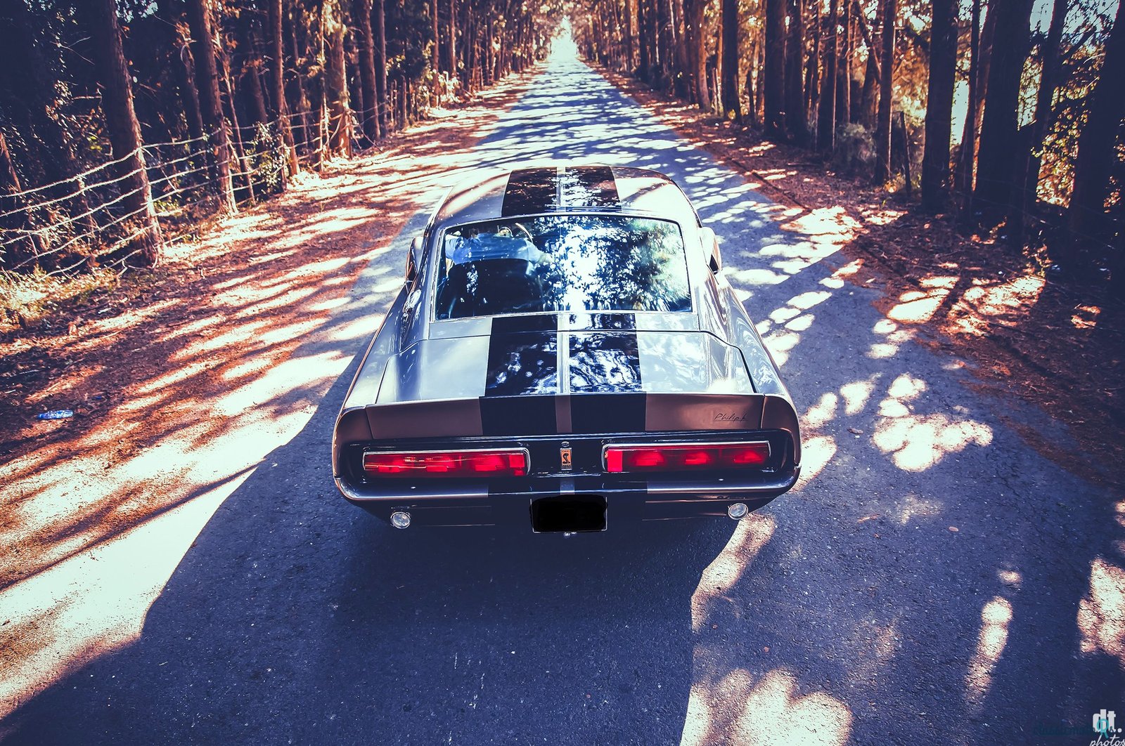 1968' Ford Mustang photo #4