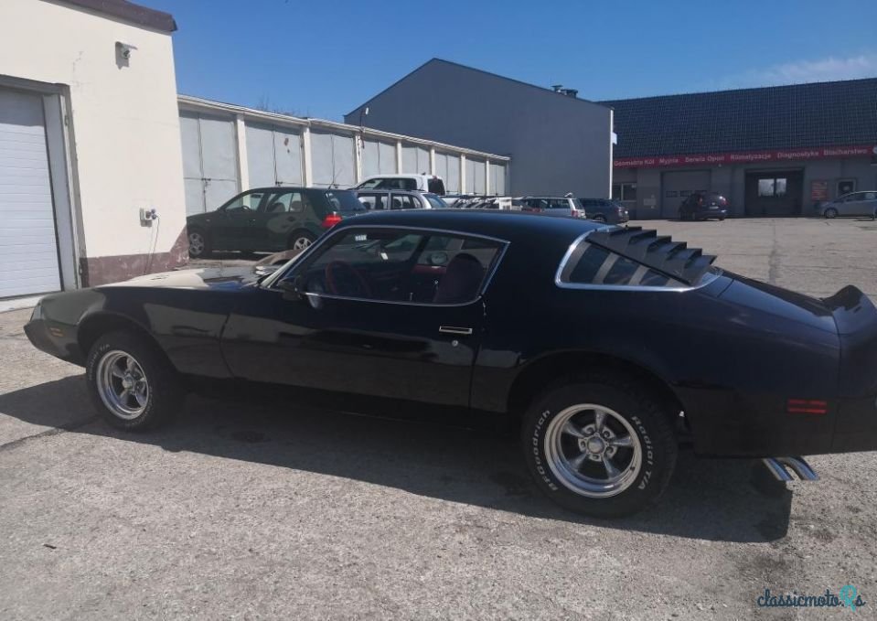 1979' Pontiac Firebird photo #3