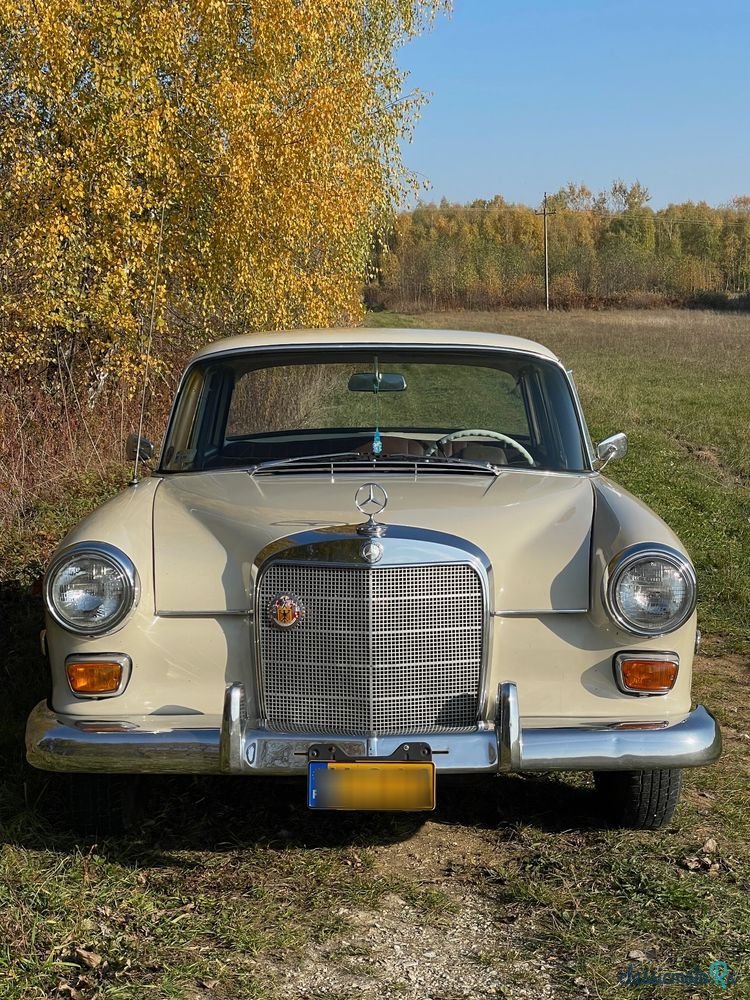 1966' Mercedes-Benz W110 230 photo #5